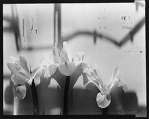 Interrupted Information