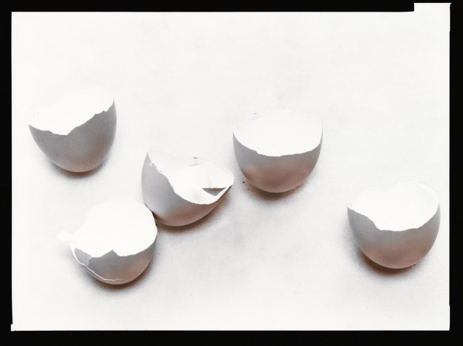 Eggshells: Olivia Parker