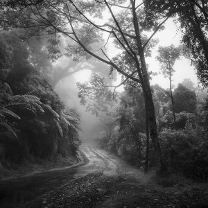 Ciwidey Highland, Java (ALT15)