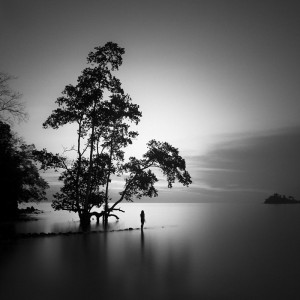 Solitaire, North Sulawesi (DT1)