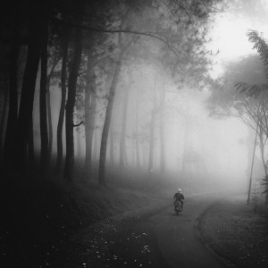 Coming Home, Java (DT16)