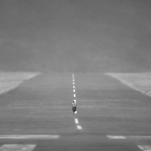 Take Off, Banda (DT6)