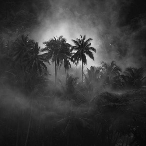 Apocalypse Now, Banda (NR09)