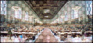 New York Public Library: Textus #215