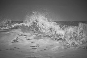 White Wave, Java (WV09)