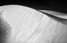 Oceano Dunes #5007