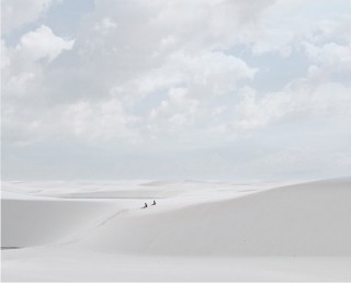 Desert Walk (Resting), Lençôís, Maranhenses
