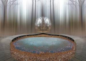 Discovering the Truth