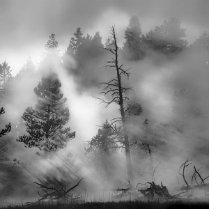 Morning Dance, Yellowstone Natl Park