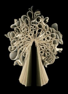 Dictionary (aka P-Z 72)