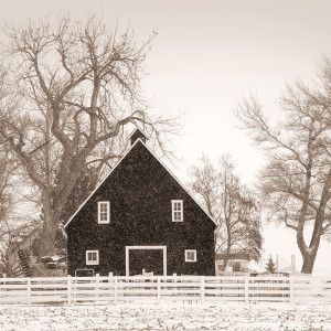 The Black Barn, CO
