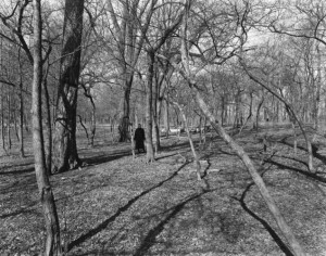 Eleanor in the Woods