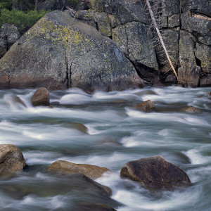 Tuolumne River, Fallen Tree, Yosemite