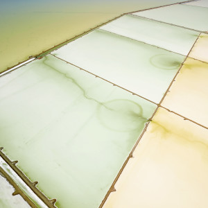 Saltern Study 05, Great Salt Lake, UT