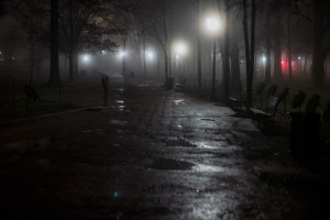 Pre-Dawn on the National Mall