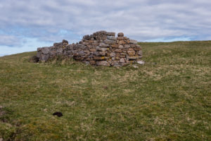 Remains, Saint Feichin’s Monastary and Some Cow Shit