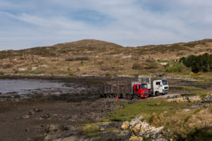 Waiting for the Tide, near Roundstone
