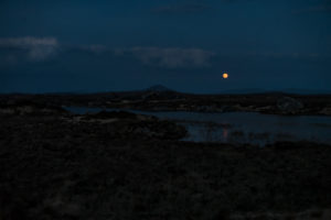 Full Moon over Bog Road