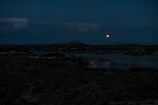 Full Moon over Bog Road