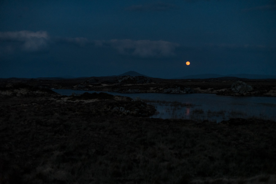 Full Moon over Bog Road