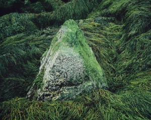 Sea Stone, New Brunswick