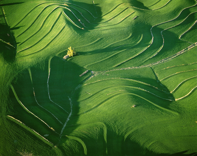 Undulating Hills near Wahoo, NE