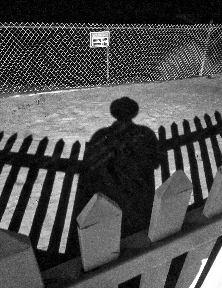 Security Camera in Use