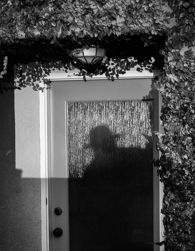The Rear Door