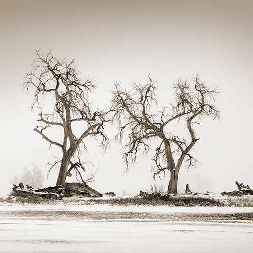 The Last Dance, CO