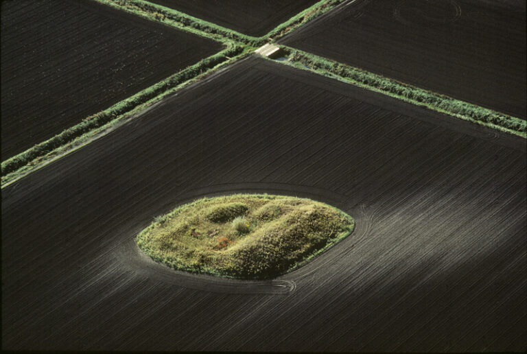 Muck Farm near Batavia, NY