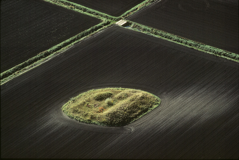 Muck Farm near Batavia, NY