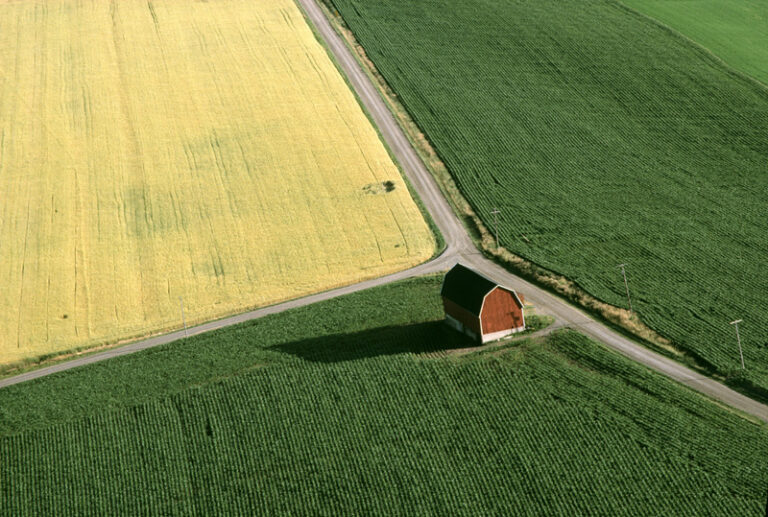 Red Barn on Wye Road, Wayne County, NY