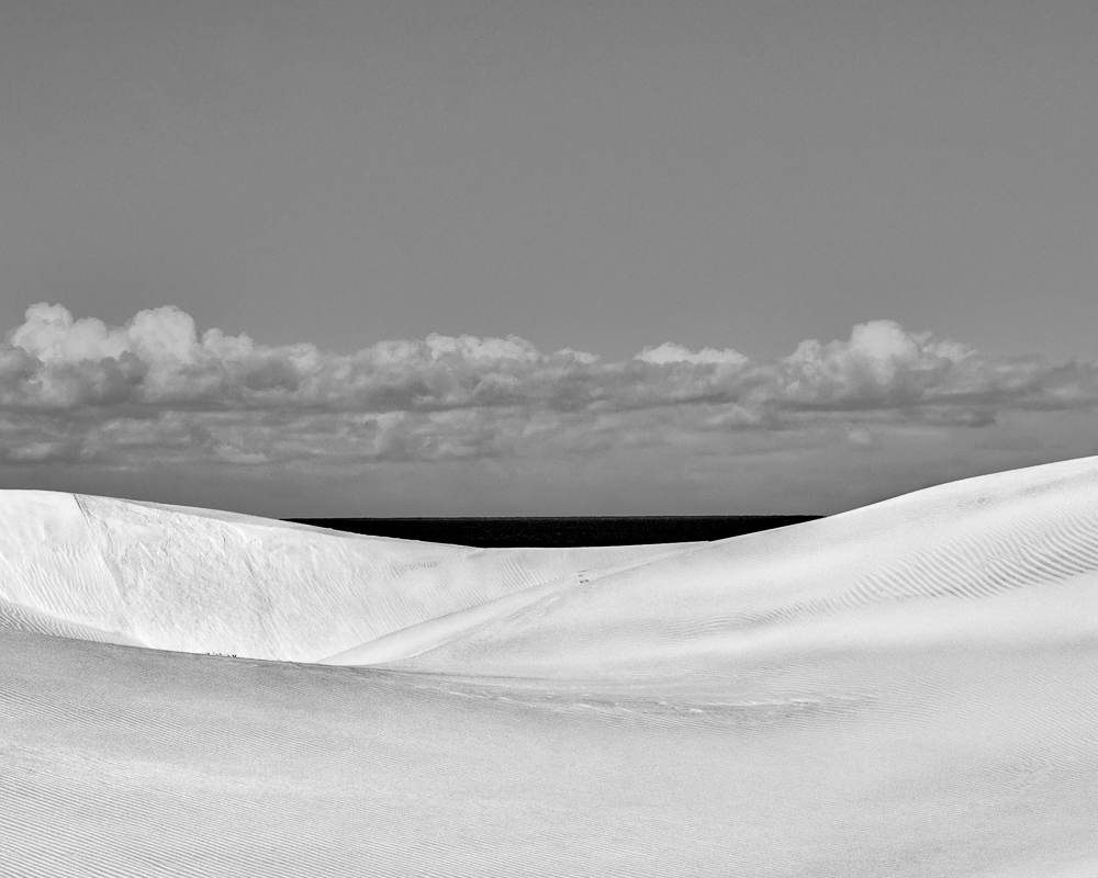 Dune Anatomy, No. 16A