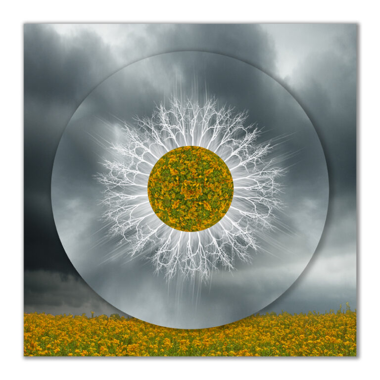 Evidence of Myth Mandala