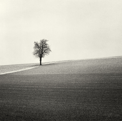 All Alone, Austria