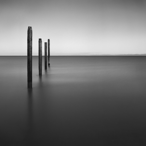 Dark Water
