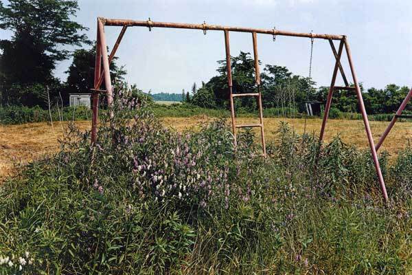 Untitled, Swing Set (Currently Unavailable)