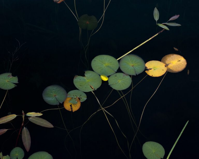 Composition No. 7