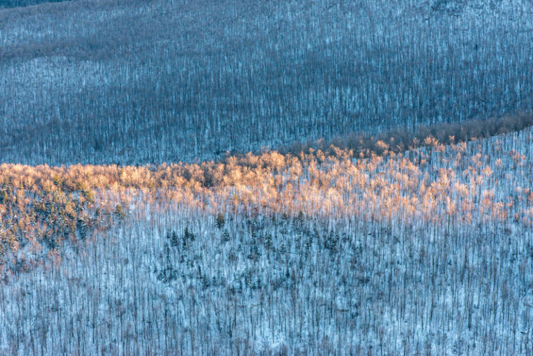 Sunlit Ridge, Cascade Mts., Adirondacks, NY