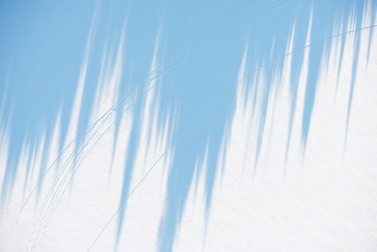 Tree Shadows II, Lake Placid, NY