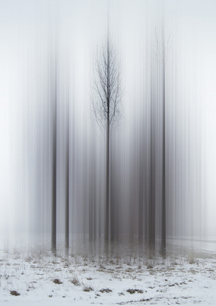 Promise of Spring