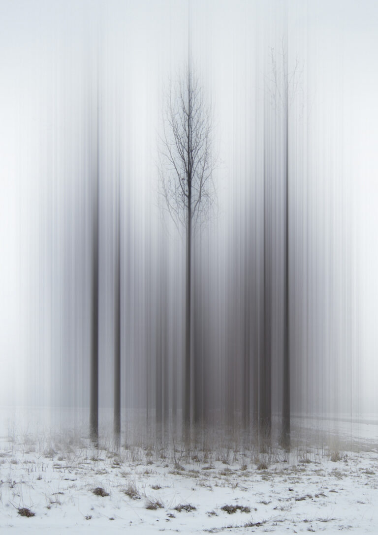 Promise of Spring