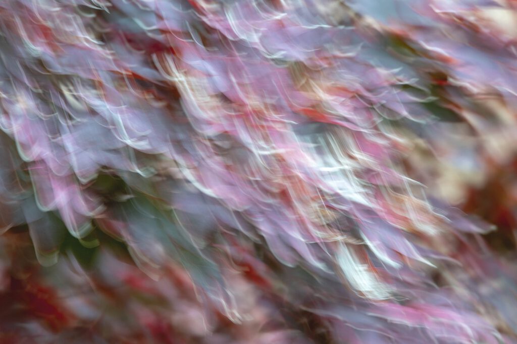 Fall Movement 4