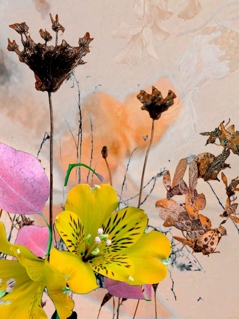 Wildflowers 11