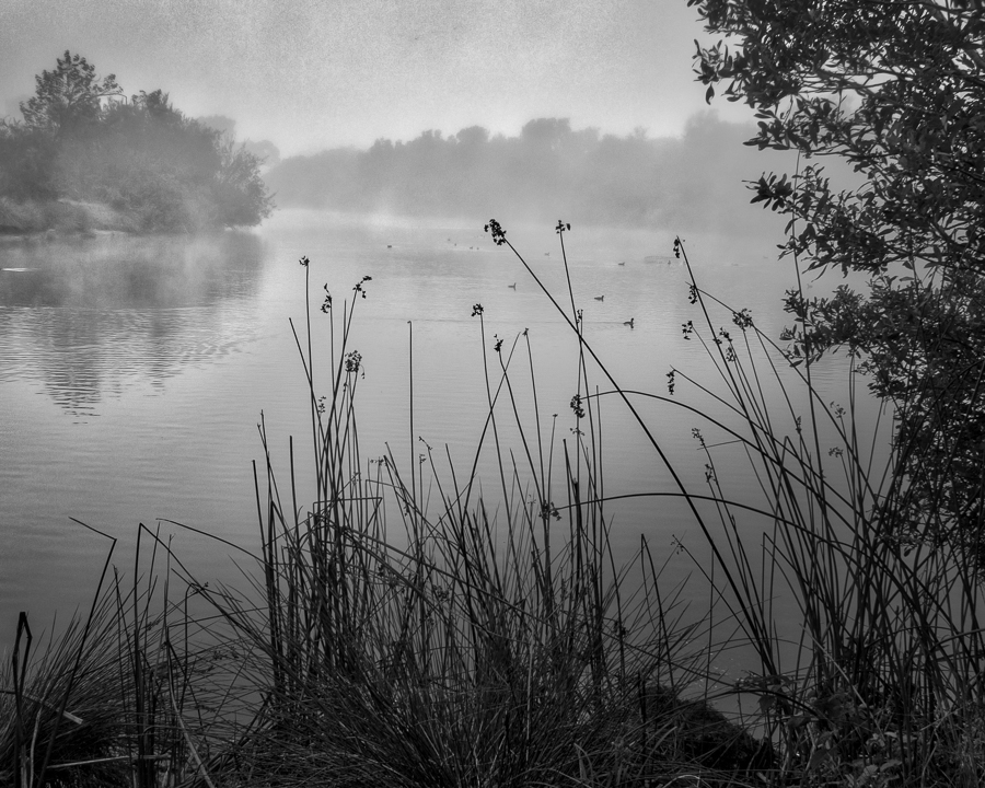 Foggy Lagoon, Oceano