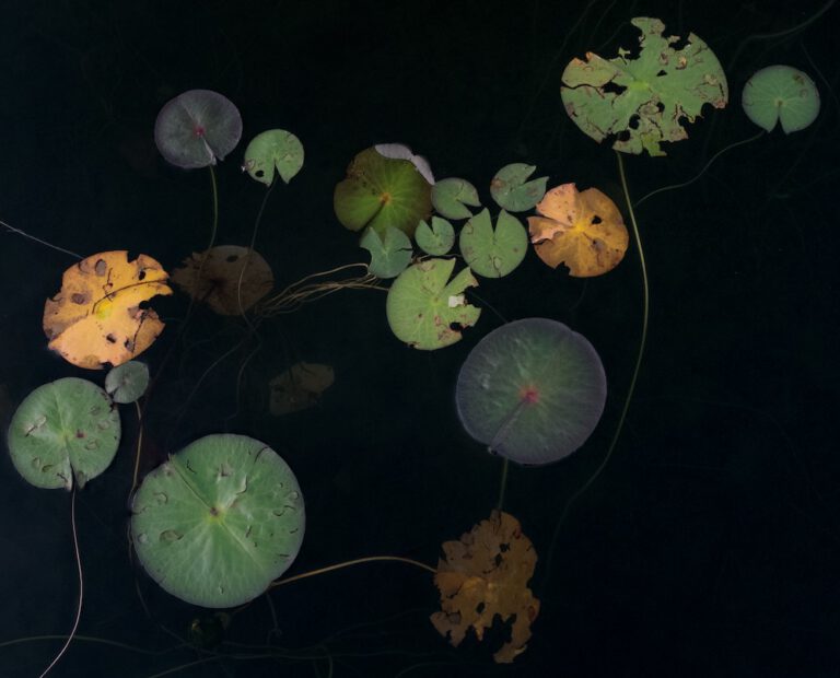 Composition No. 9