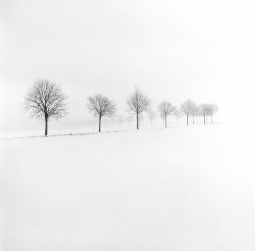 Snow Scene VII