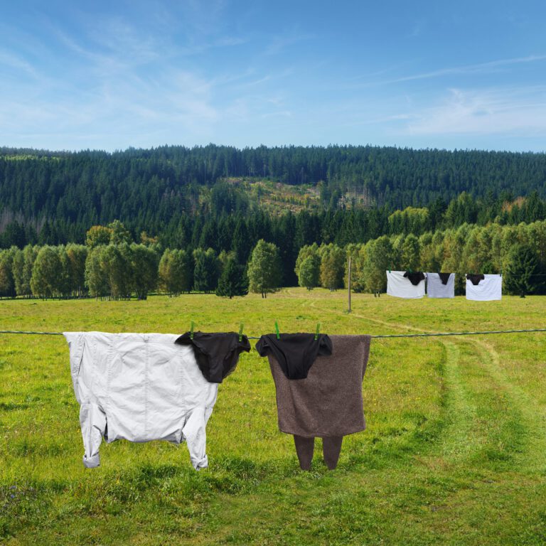 Baa-Baa-Ra