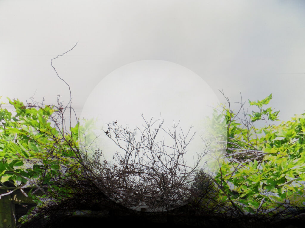 Ascendency of Past Over Future