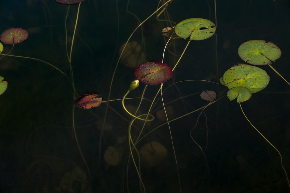 Composition No. 8